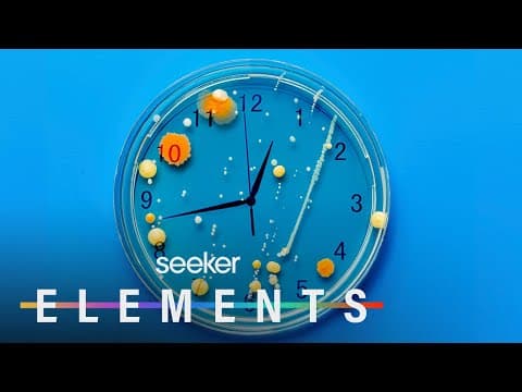 Bacteria Can Tell Time...Wait, What?!